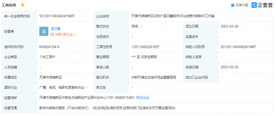 孟羽童月薪估值分析 數字內容制作服務的價值與市場定價